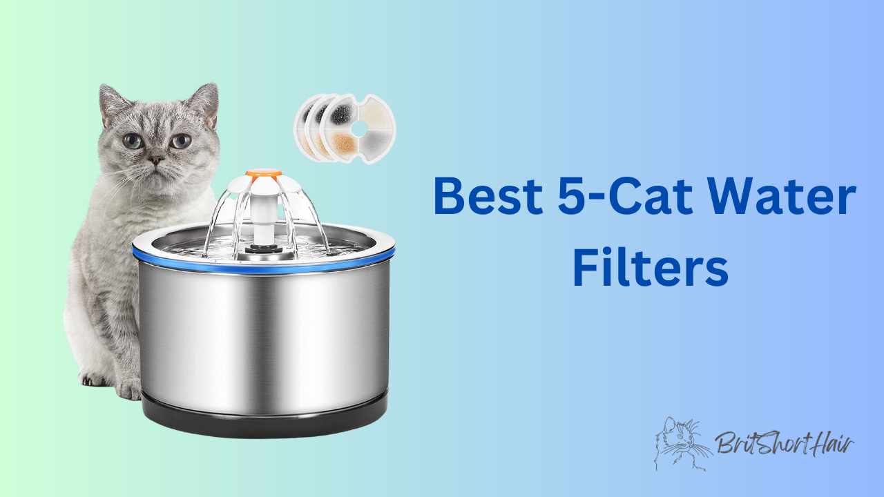 Cat Water Filters