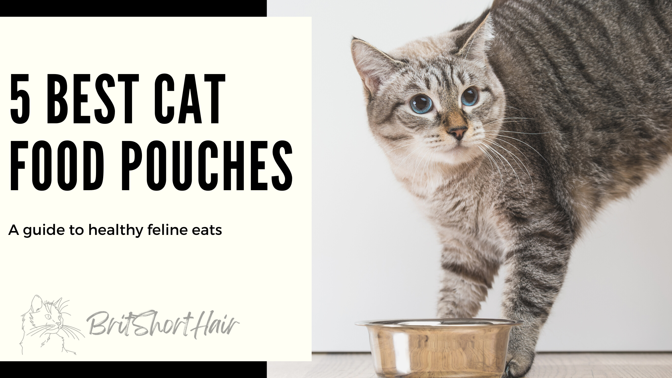 Cat food pouches