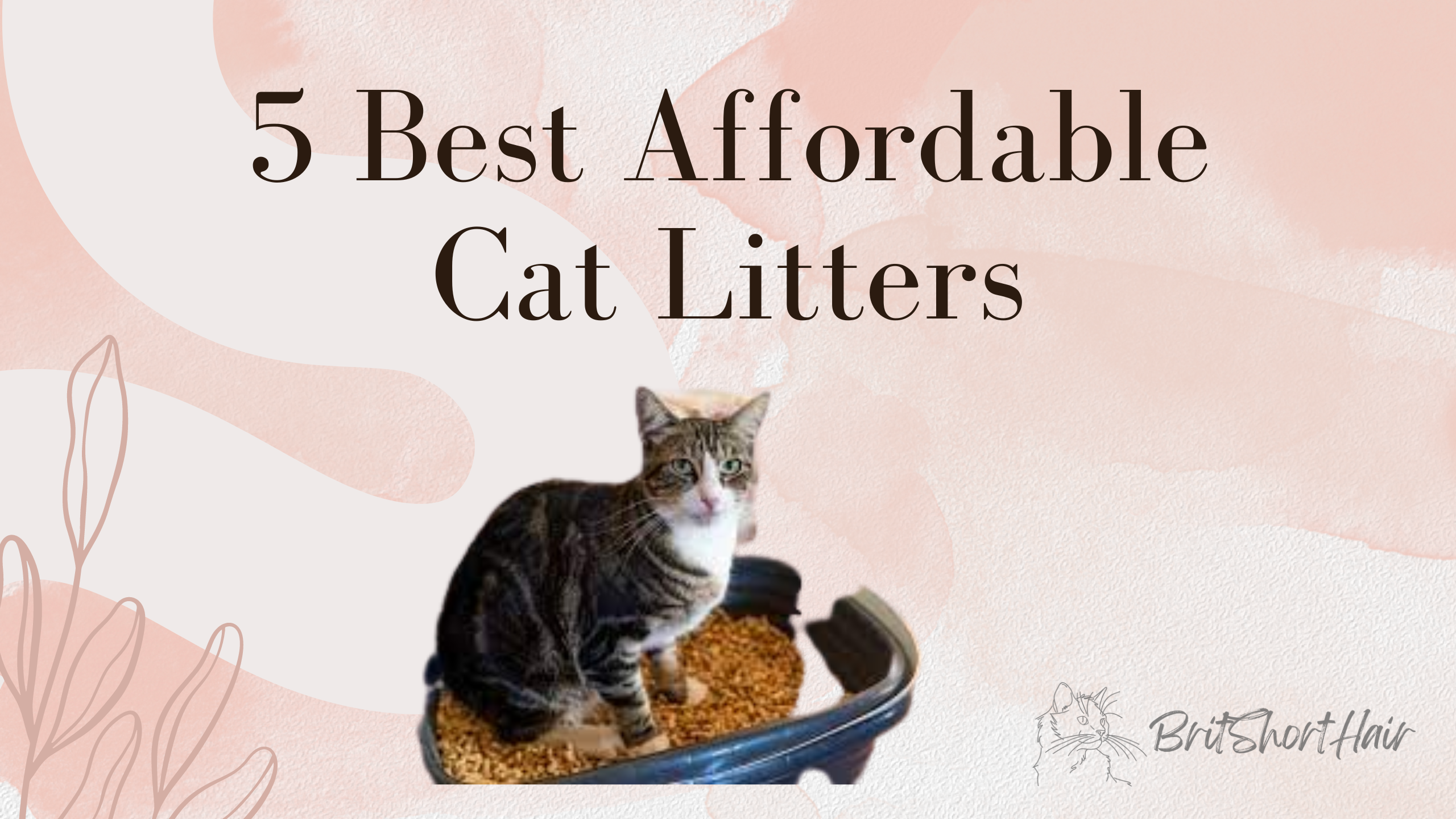 Cat litter