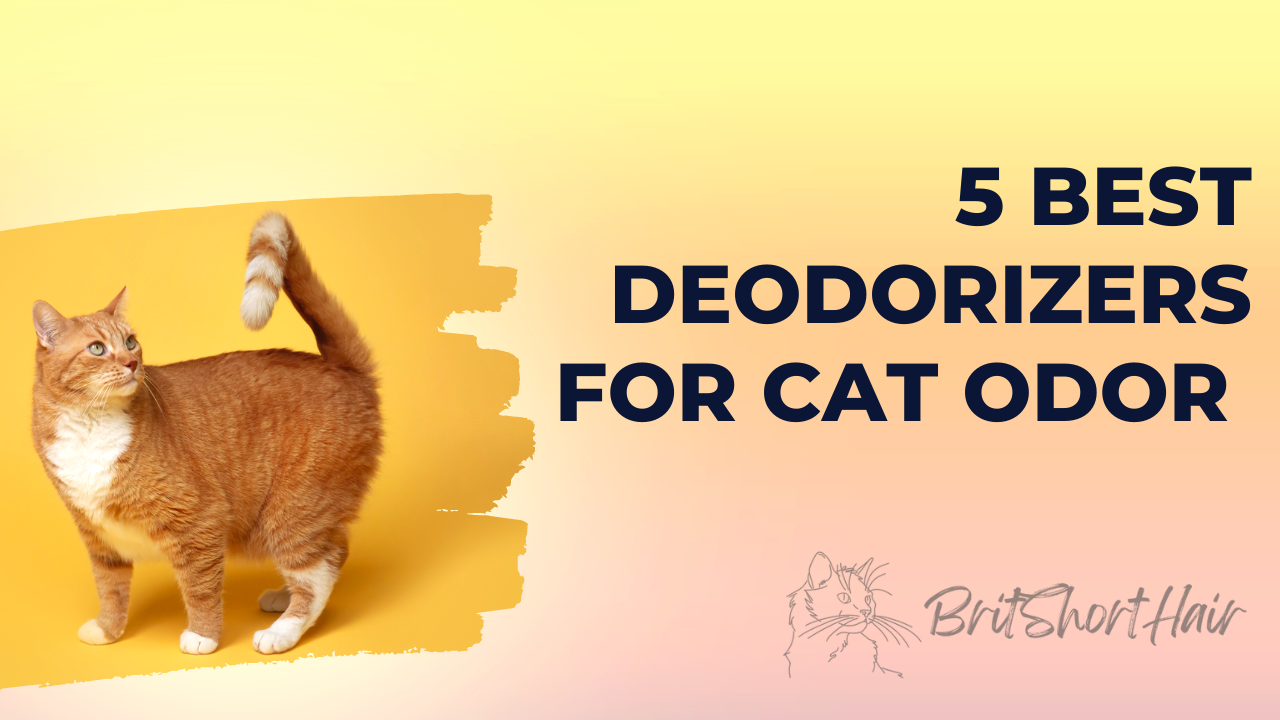 Deodorizers For Cat Odor