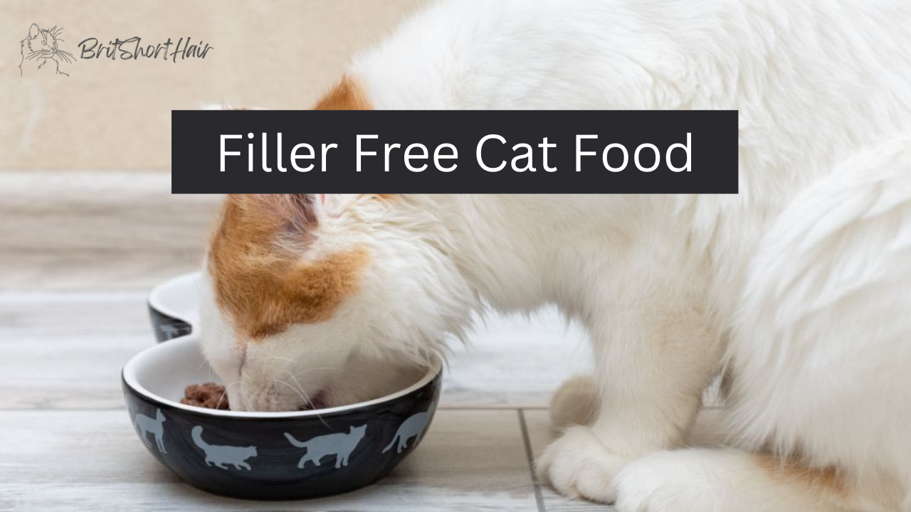 Filler-Free Cat Food